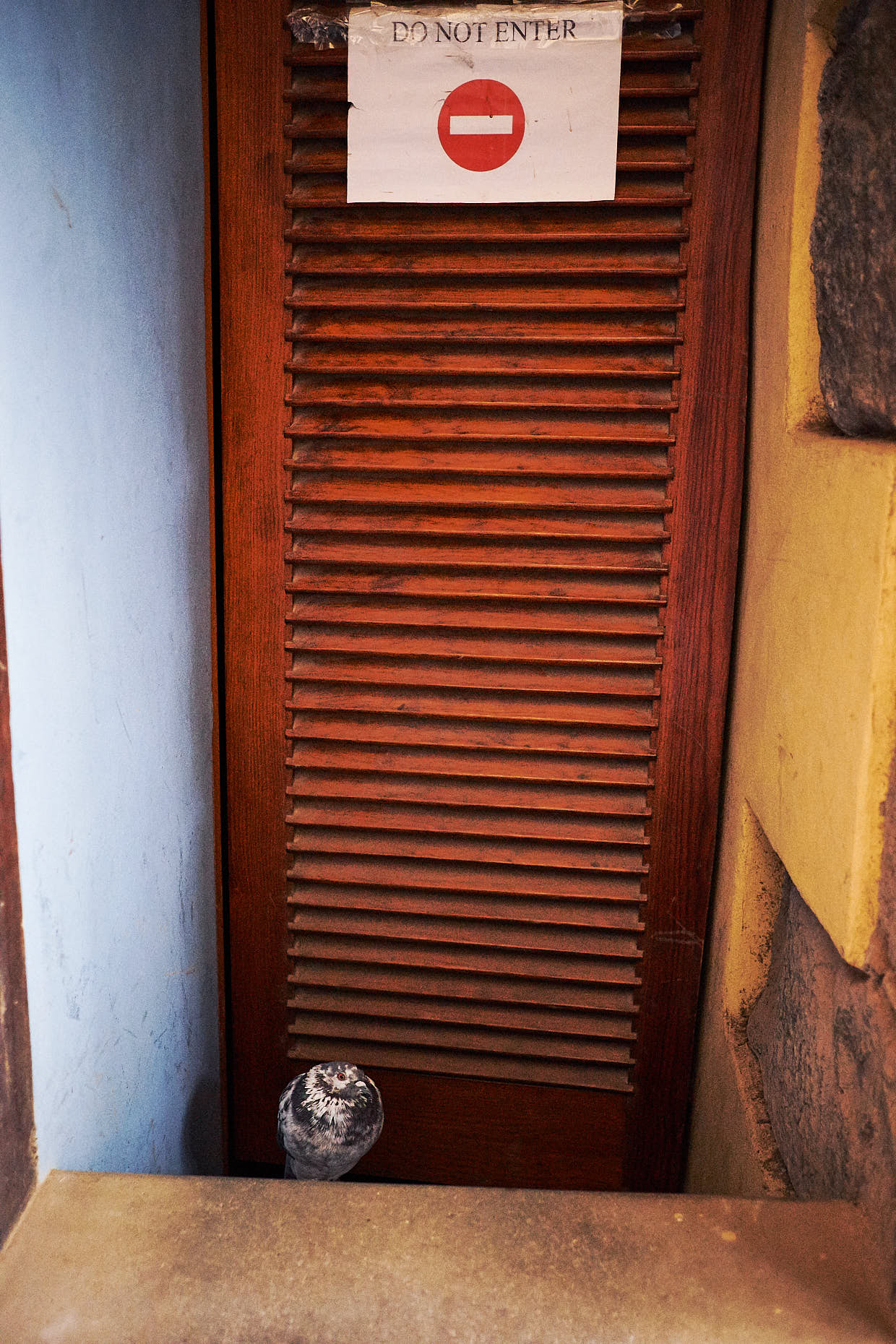 Canary_Islands_Oscar_Catalan_Martinez_043