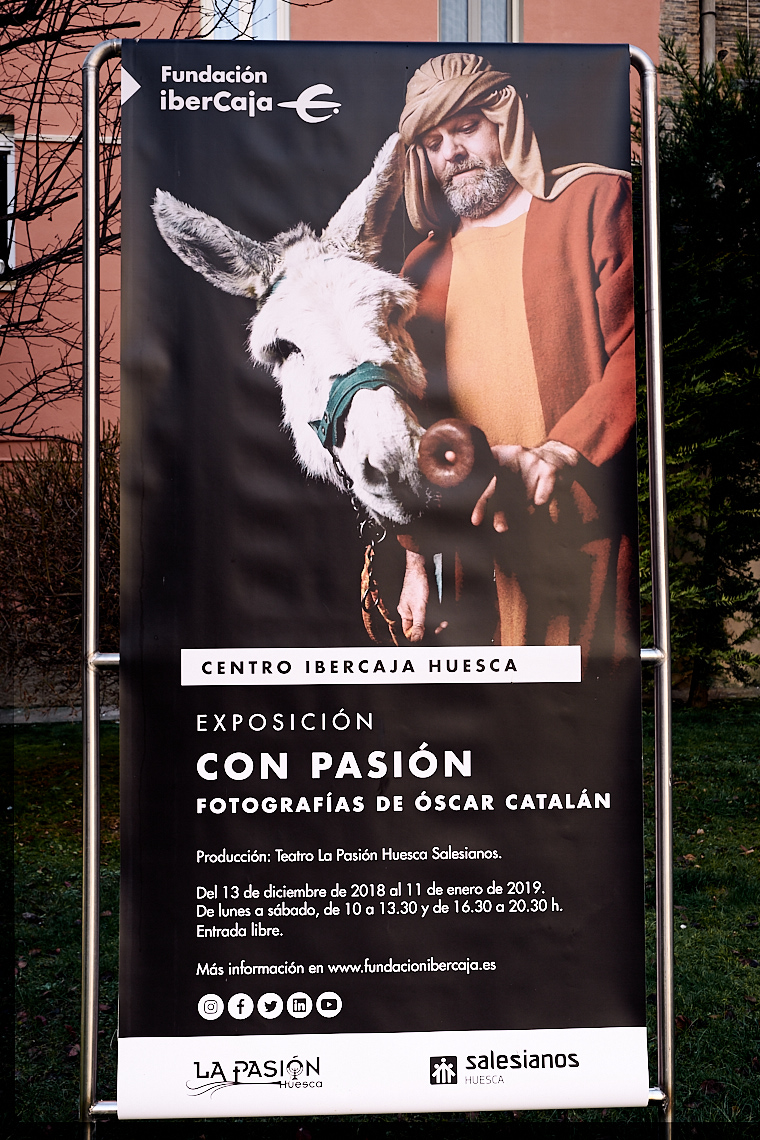 Expo_Con_Pasion__Oscar_Catalan_Martinez4
