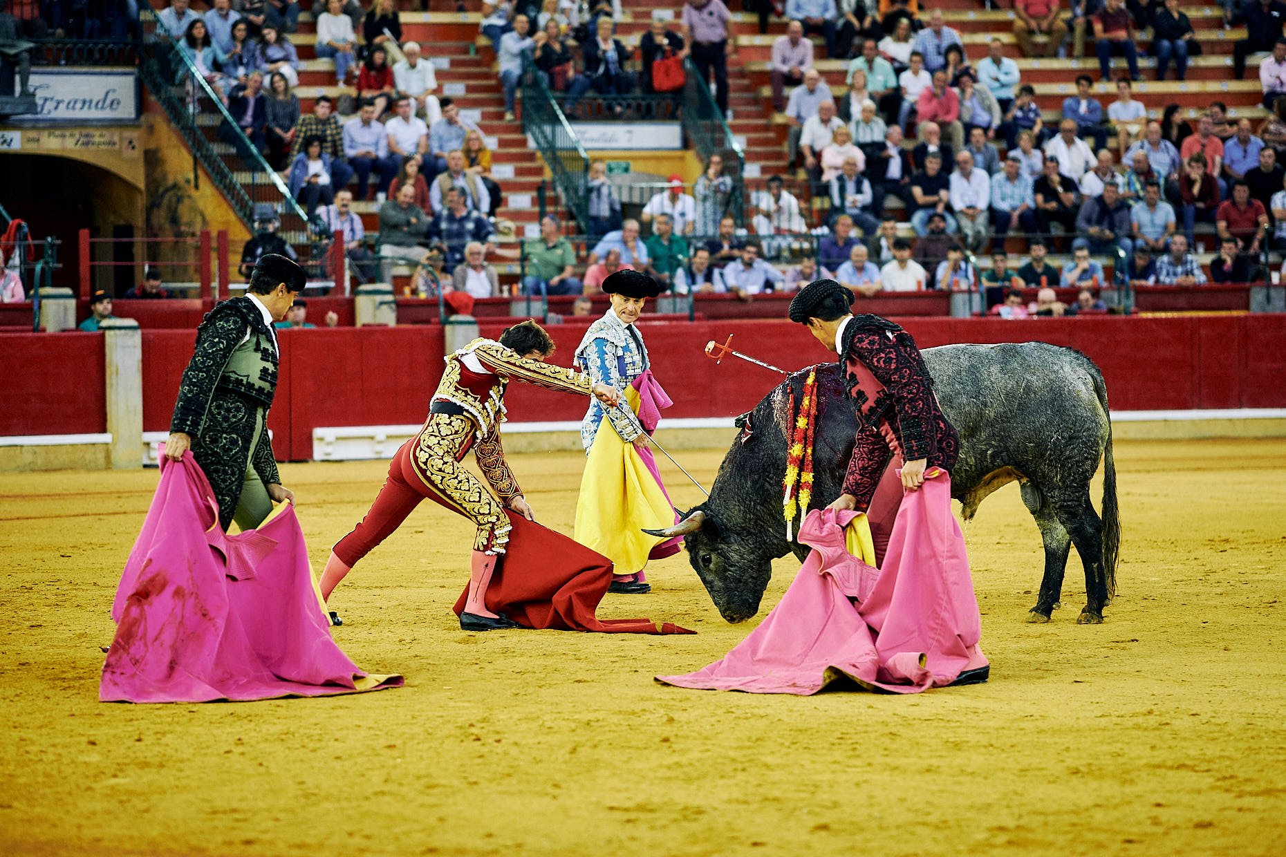 TAUROMAQUIA2OSCAR_CATALAN_MARTINEZ3